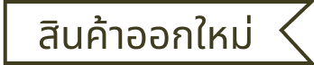 สินค้าใหม่